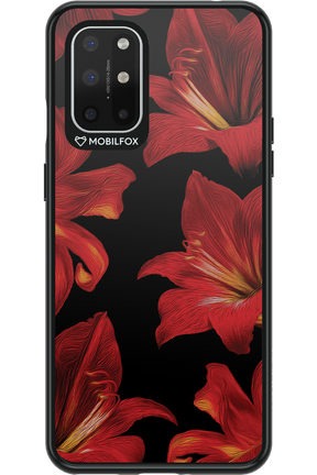 Amaryllis Noir - OnePlus 8T
