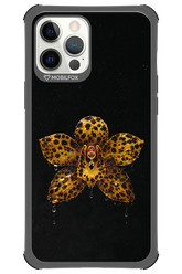 Wet & Wild 2.0 - Apple iPhone 12 Pro Max