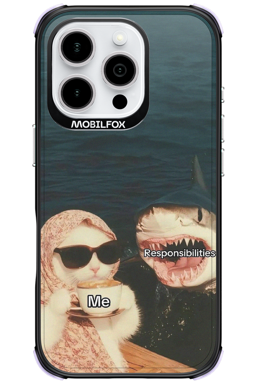 Responsibilities - Apple iPhone 16 Pro