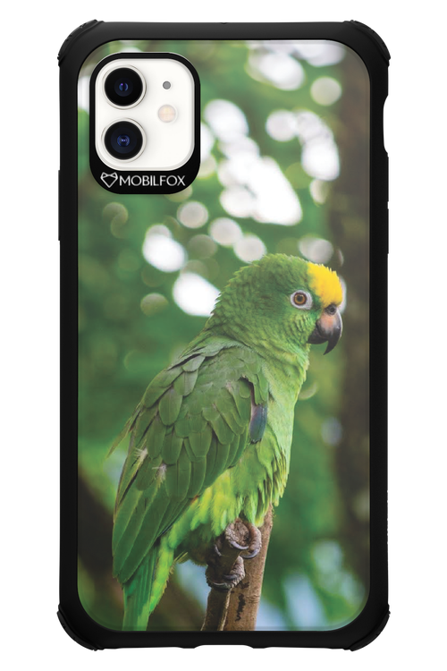 Budgerigar Green - Apple iPhone 11