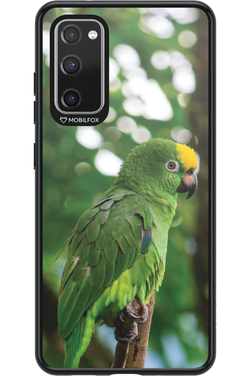 Budgerigar Green - Samsung Galaxy S20 FE