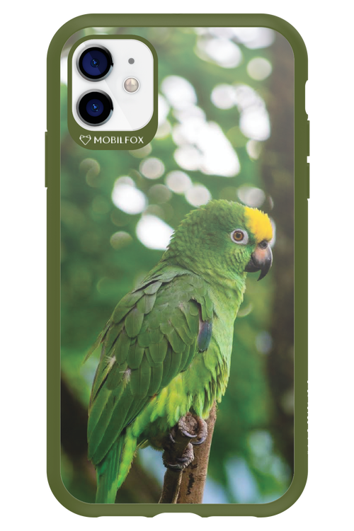 Budgerigar Green - Apple iPhone 11