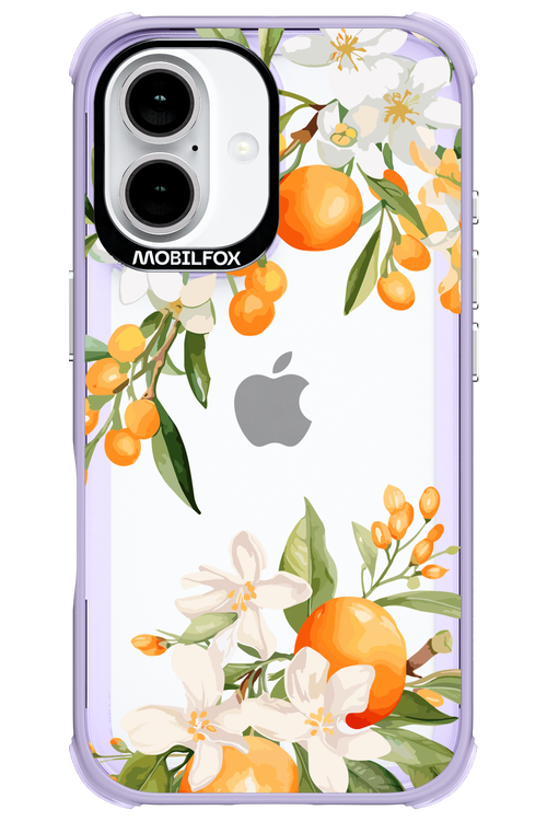 Amalfi Orange - Apple iPhone 16