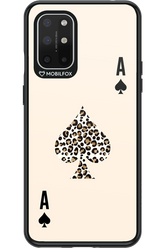 Roar of Ace - OnePlus 8T