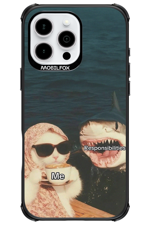Responsibilities - Apple iPhone 16 Pro Max