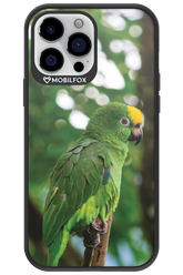 Budgerigar Green - Apple iPhone 13 Pro Max