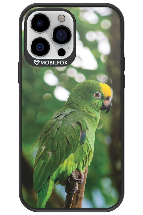 Budgerigar Green - Apple iPhone 13 Pro Max