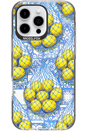 Net Style - Apple iPhone 16 Pro Max