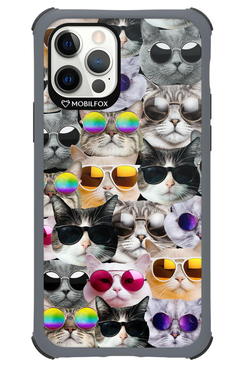 Cat World - Apple iPhone 12 Pro