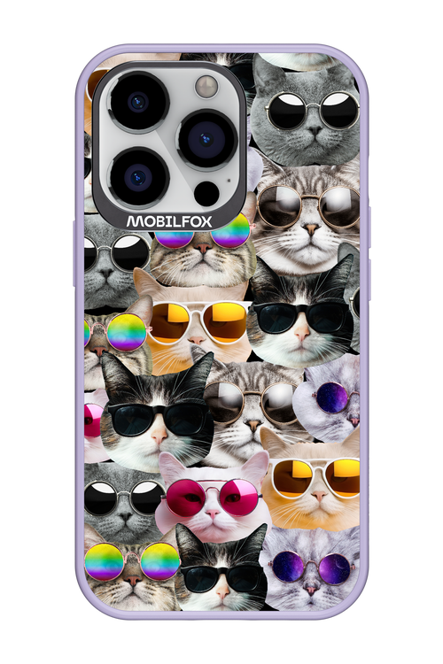 Cat World - Apple iPhone 13 Pro