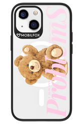 Problems 2.0 - Apple iPhone 13 Mini