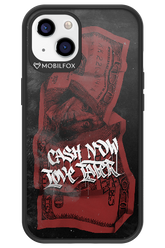 Liquid Assets - Apple iPhone 13