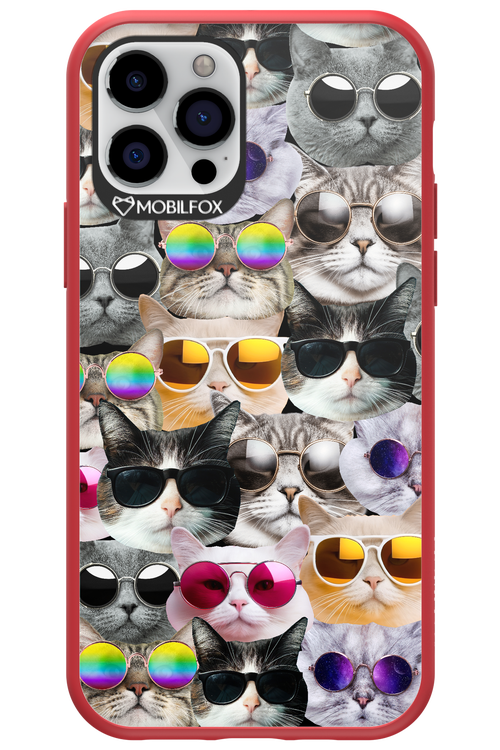 Cat World - Apple iPhone 12 Pro