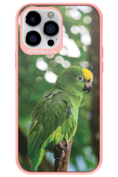 Budgerigar Green - Apple iPhone 13 Pro Max