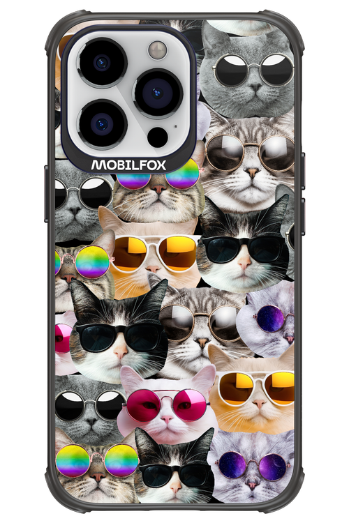 Cat World - Apple iPhone 13 Pro