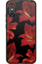 Amaryllis Noir - Xiaomi Redmi 9A