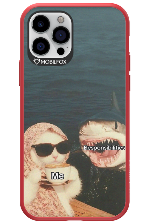 Responsibilities - Apple iPhone 12 Pro